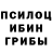 Галлюциногенные грибы Magic Shrooms Subhadhra Gunn